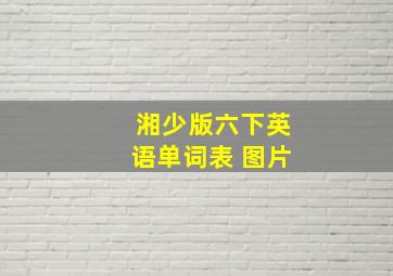 湘少版六下英语单词表 图片